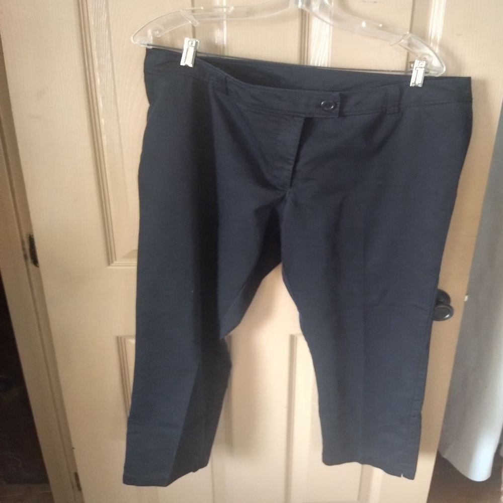 NWOT Plus Size Pants